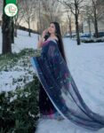 Saree-4050