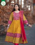 Himadri-1